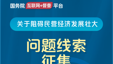 日本人操鸡巴视频国务院“互联网+督查”平台公开征集阻碍民营经济发展壮大问题线索